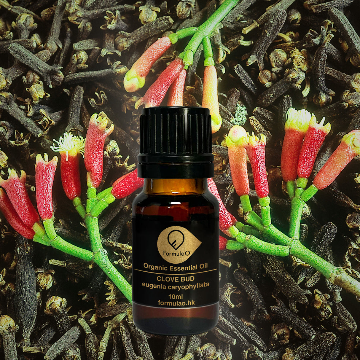 丁香花苞有機香薰精油