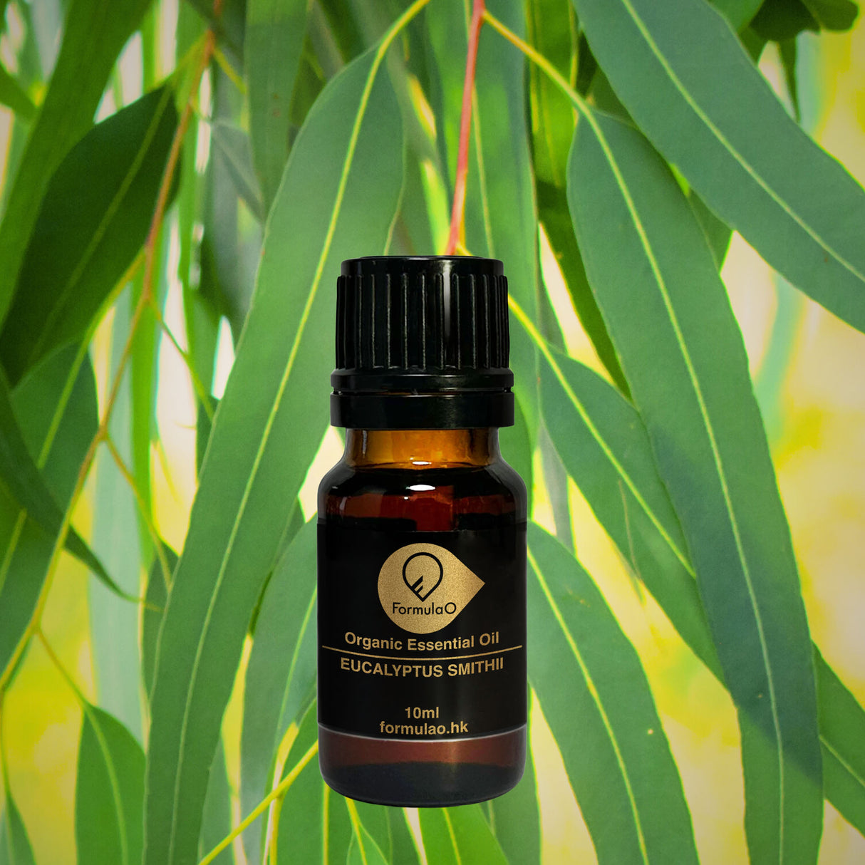 史密斯尤加利有機香薰精油