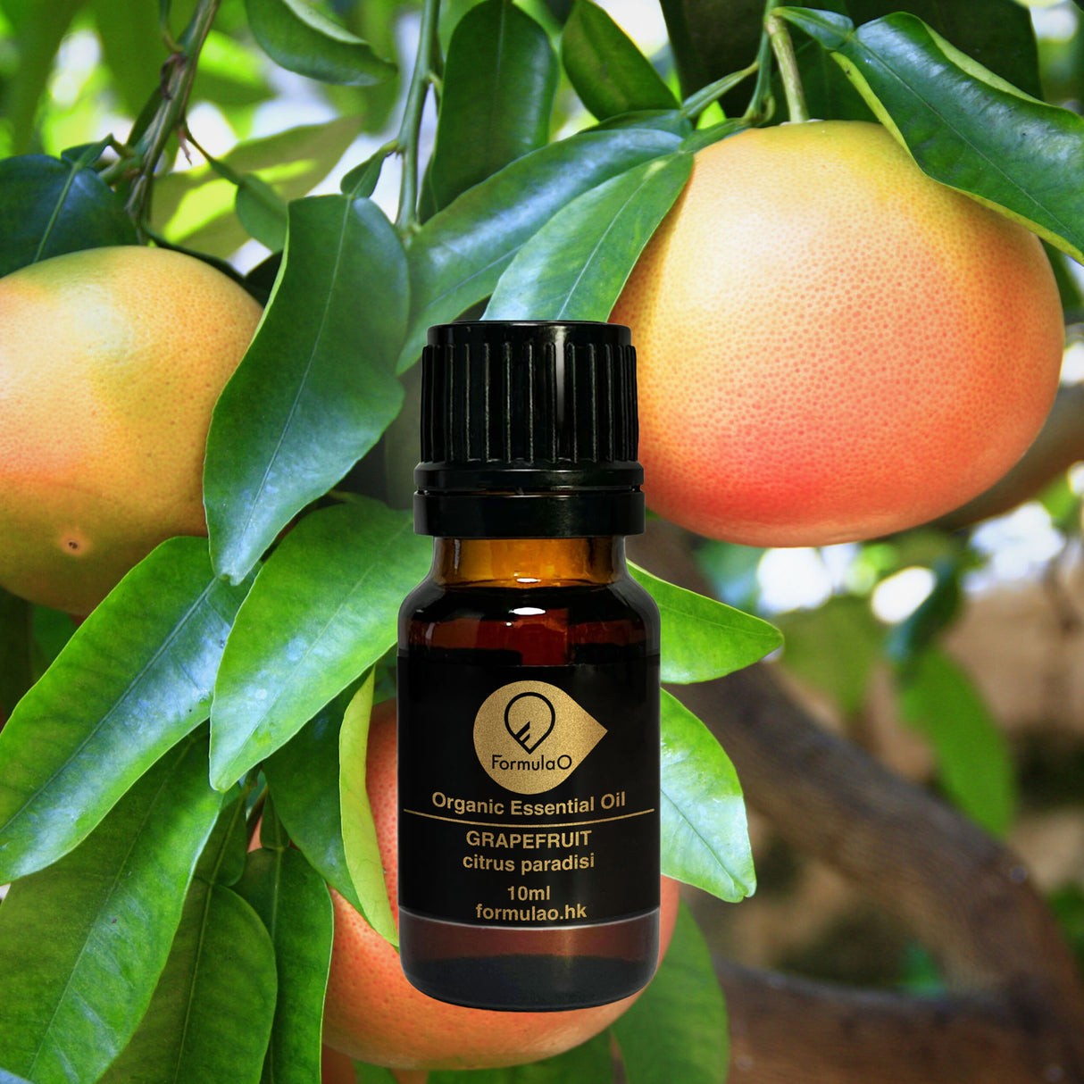 西柚有機香薰精油