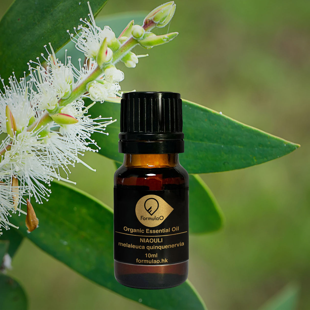 綠花百千層有機香薰精油