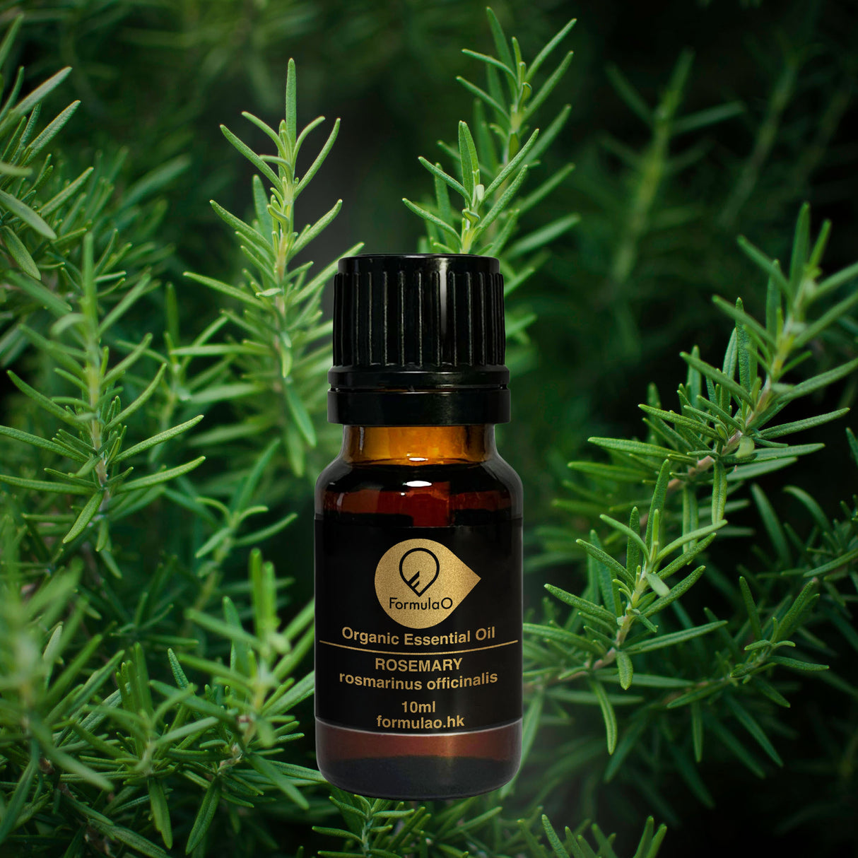 迷迭香有機香薰精油