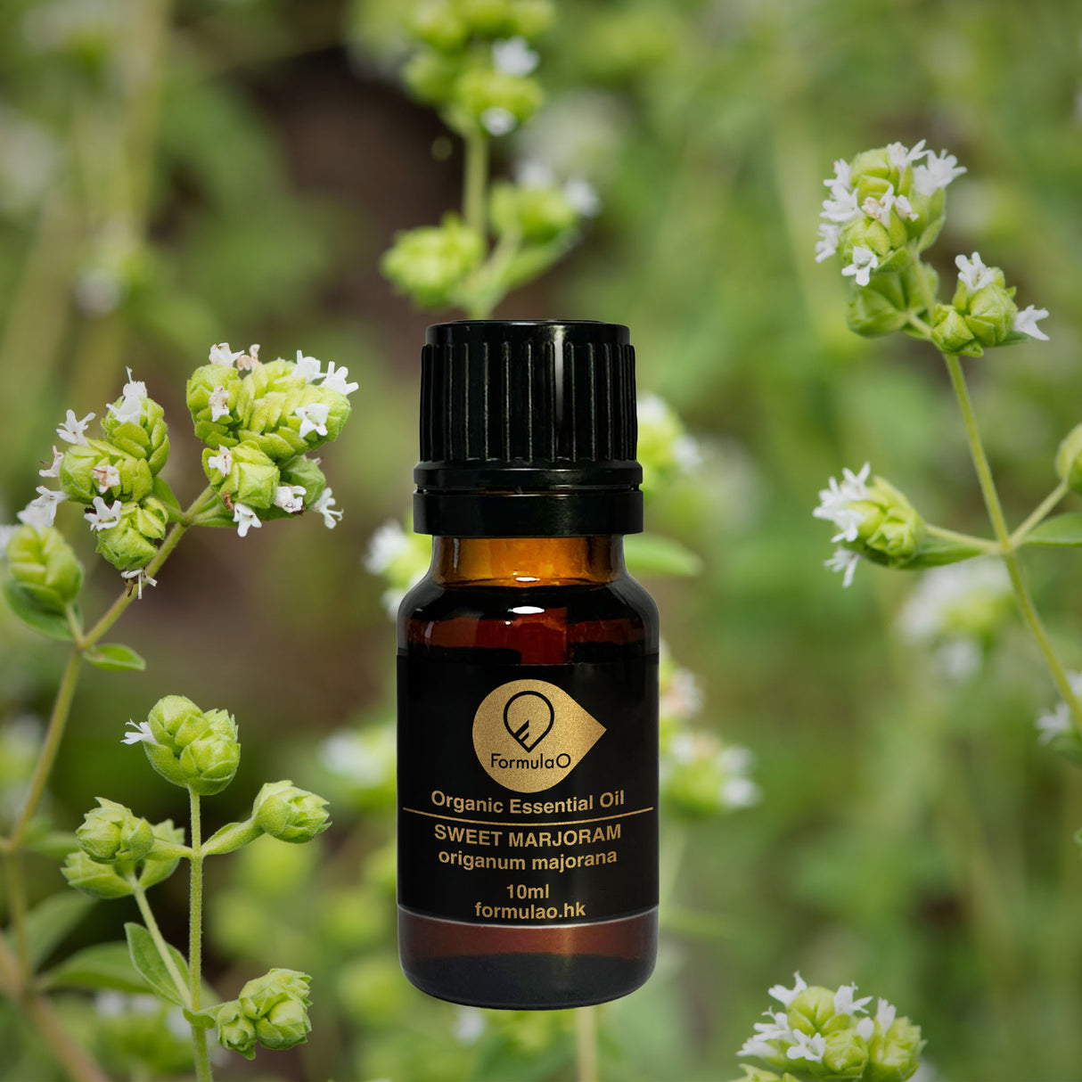 甜馬荷蘭有機香薰精油