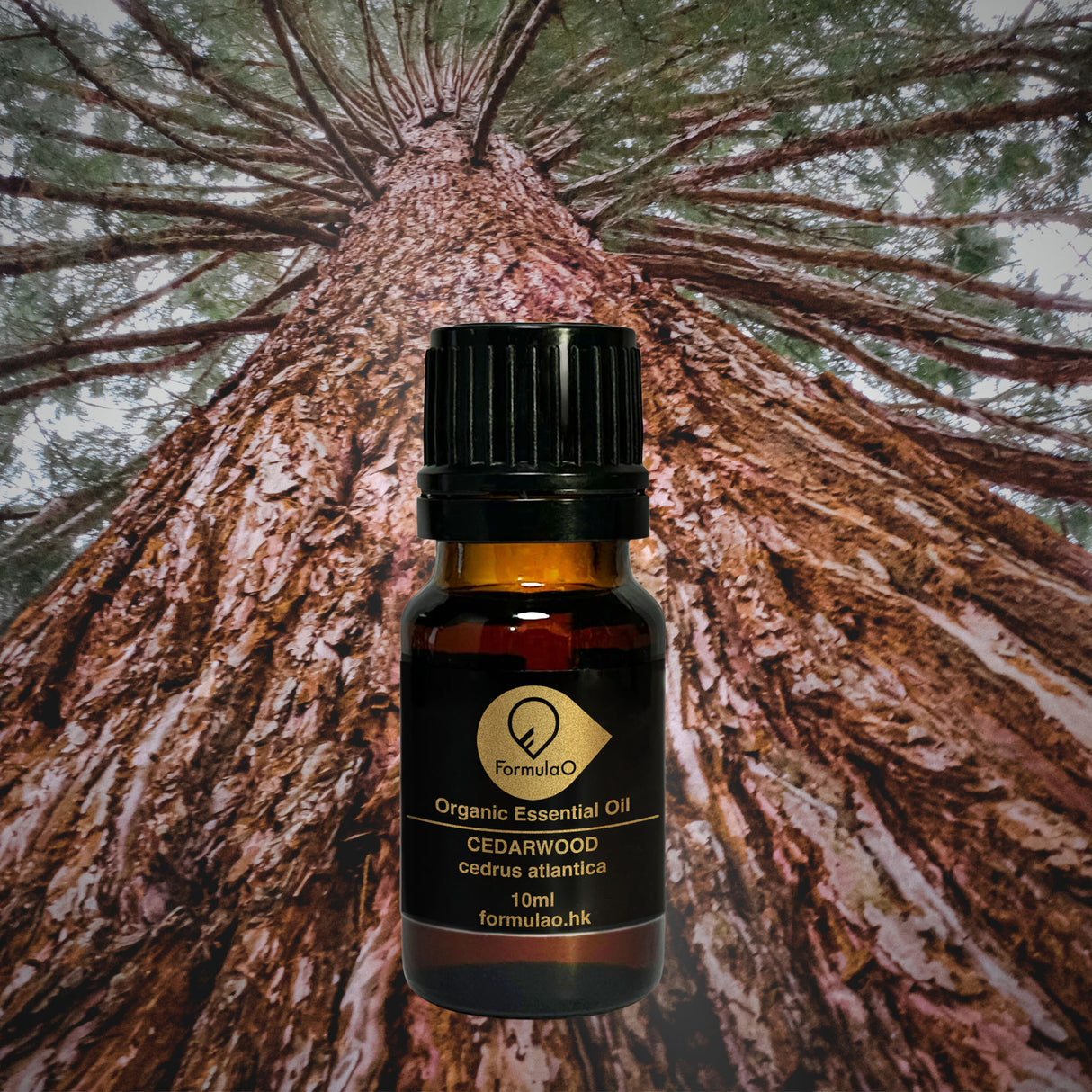 雪松有機香薰精油