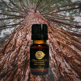 雪松有機香薰精油