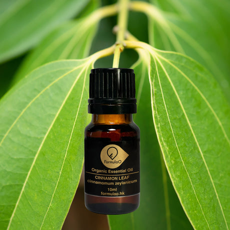 肉桂葉有機香薰精油