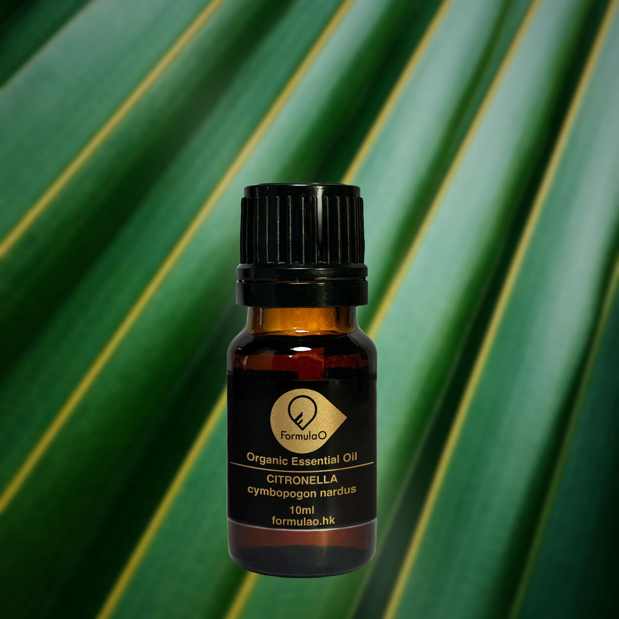 香茅有機香薰精油