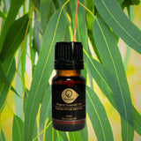 史密斯尤加利有機香薰精油