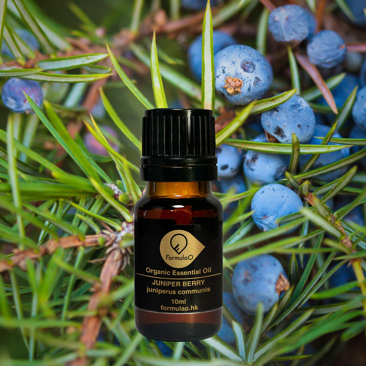 杜松果有機香薰精油