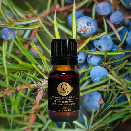 杜松果有機香薰精油