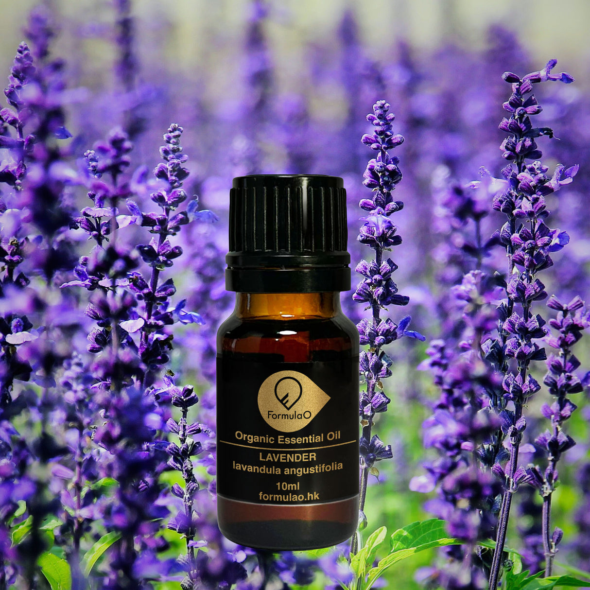 薰衣草有機香薰精油