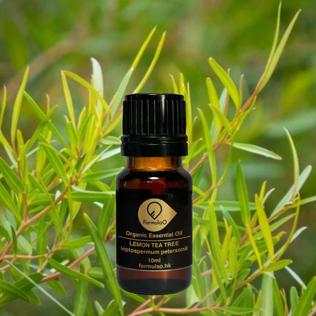 檸檬茶樹有機香薰精油