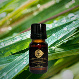 檸檬草有機香薰精油