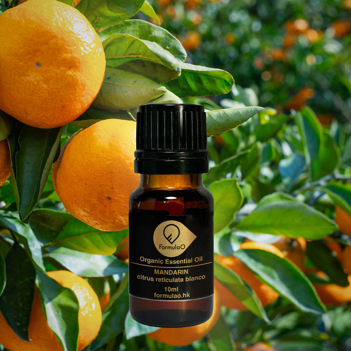 蜜柑有機香薰精油