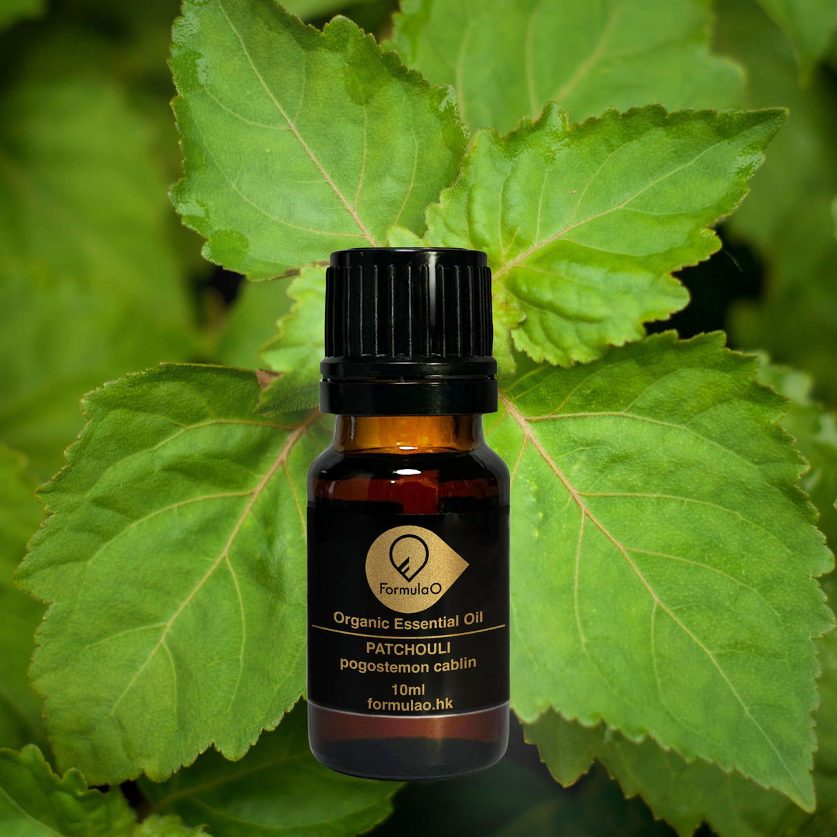 廣藿香有機香薰精油