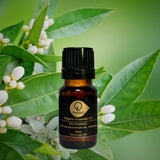 苦橙葉有機香薰精油