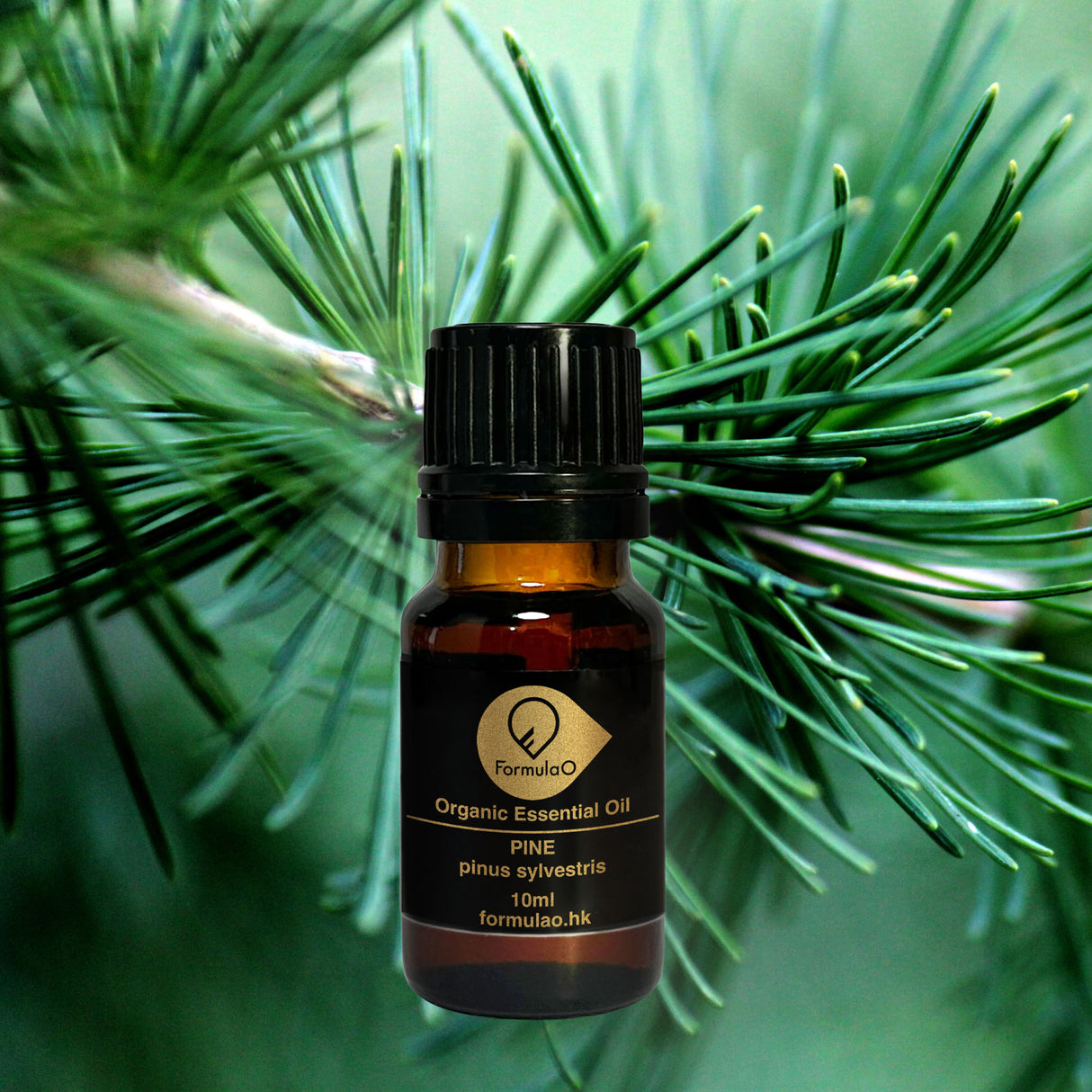 赤松有機香薰精油