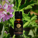 玫瑰天竺葵有機香薰精油