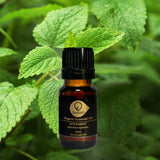 綠薄荷有機香薰精油