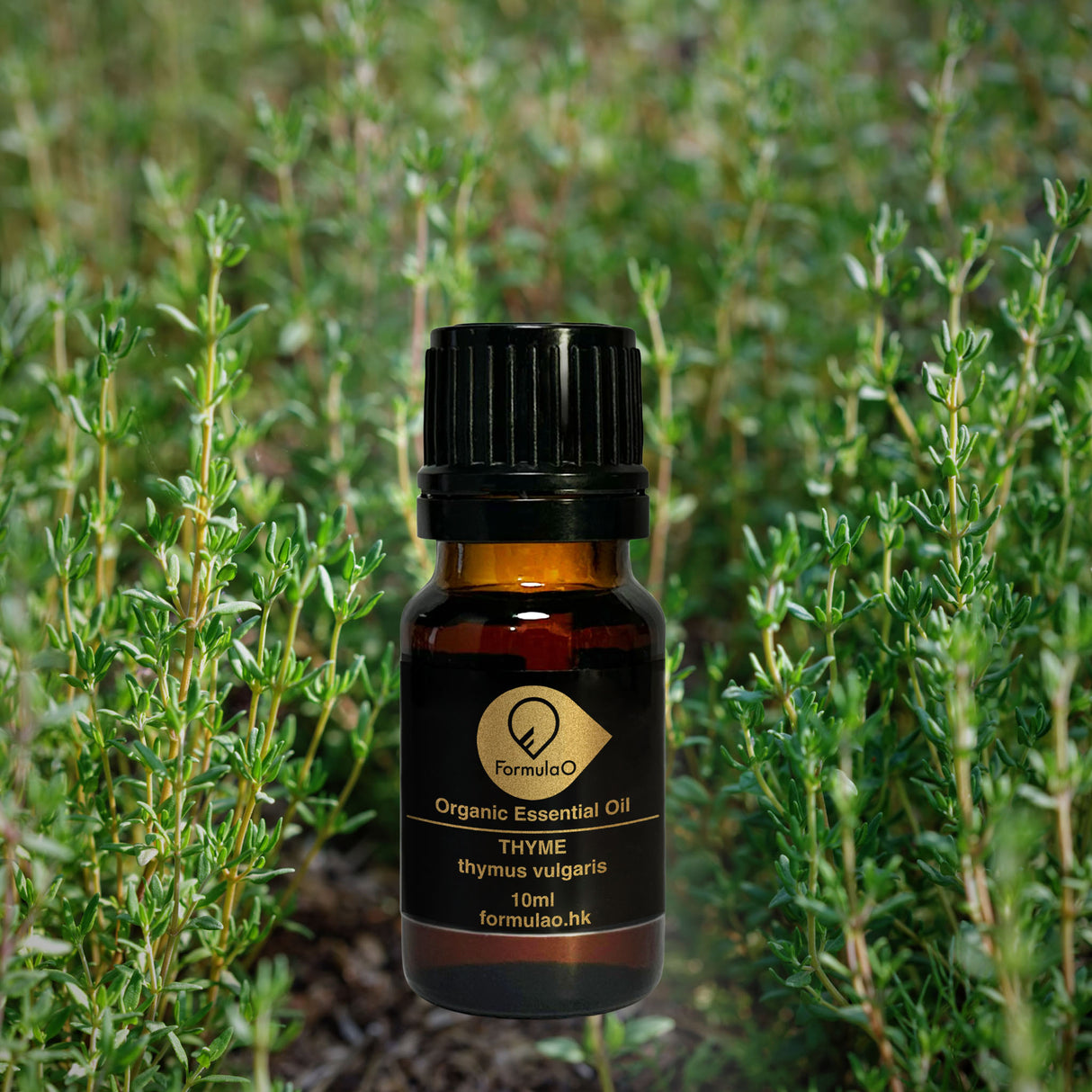 百里香有機香薰精油