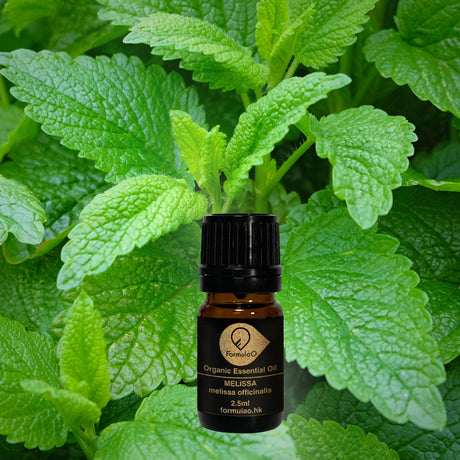 香蜂草有機香薰精油